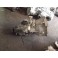 Renault MASTER III 2.3 DCI ZF4 000 bj.2010 40000tkm. (baghjulstr&aelig;k)