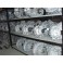 20DP42 Renoveret gearkasse  Peugeot Citroen