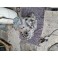 Gearkasse halv  AUTOMATIC 20DS13 20 DS 13 Citroen C4 C5 1,6 HDI 9HR Grand Picasso Peugeot 3008 